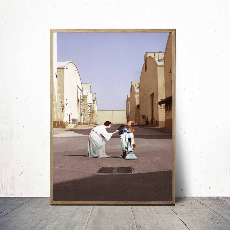 Pink Floyd Poster - Star Wars Princess Leia & R2D2 Wish You Were Here Pink Floyd Poster - Star Wars Princess Leia & R2D2 Wish You Were Here