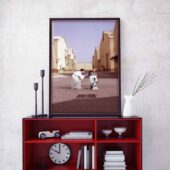 Pink Floyd Poster – Star Wars Princess Leia & R2d2 Wish You Were Here Vertical1pieces10 - OtherBrick