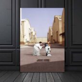 Pink Floyd Poster – Star Wars Princess Leia & R2d2 Wish You Were Here Vertical1pieces4 - OtherBrick