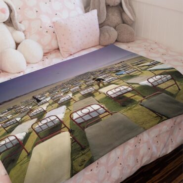 A Momentary Lapse of Reason Album Cover 1987 Pink Floyd Velveteen Plush Blanket