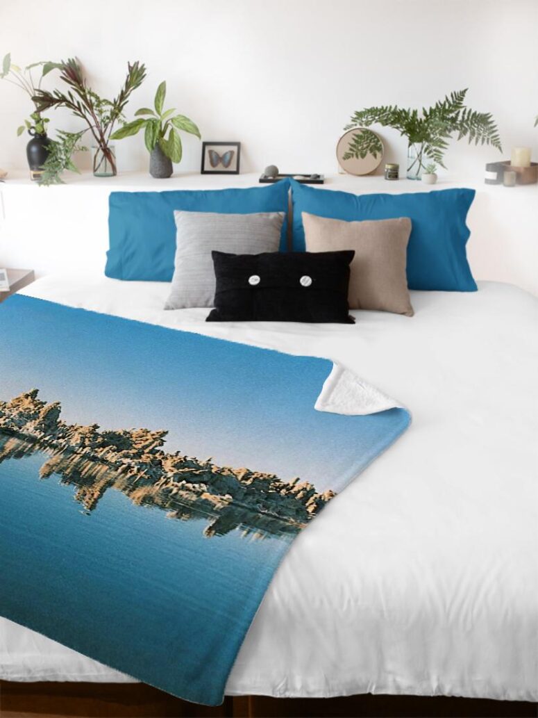 Mono Lake Wish You Were Here, Diver, Album Inner Sleeve Pink Floyd Velveteen Plush Blanket