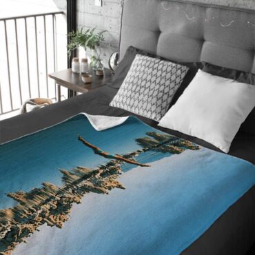 Mono Lake Wish You Were Here, Diver, Album Inner Sleeve Pink Floyd Velveteen Plush Blanket