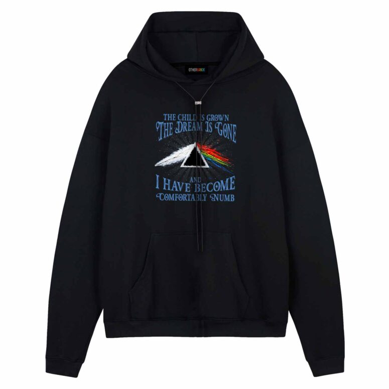 Pink Floyd The Child Is Grown The Dream Is Gone Shirt