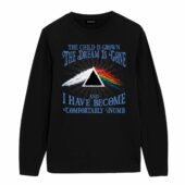 Pink Floyd The Child Is Grown The Dream Is Gone Shirt Front Longsleeve Black - OtherBrick
