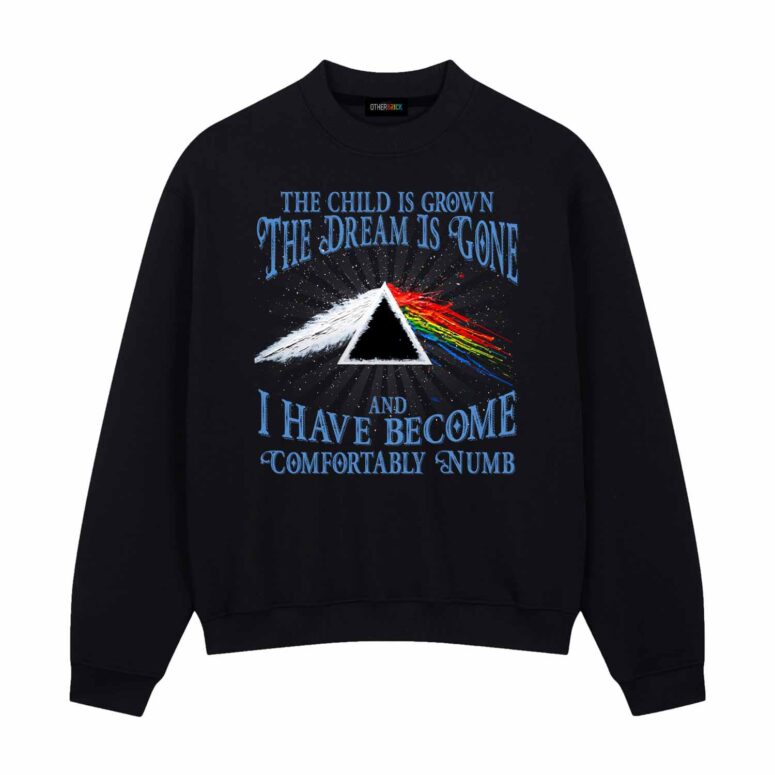 Pink Floyd The Child Is Grown The Dream Is Gone Shirt