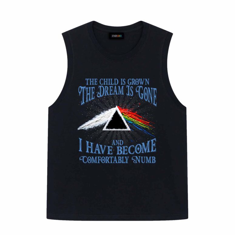 Pink Floyd The Child Is Grown The Dream Is Gone Shirt