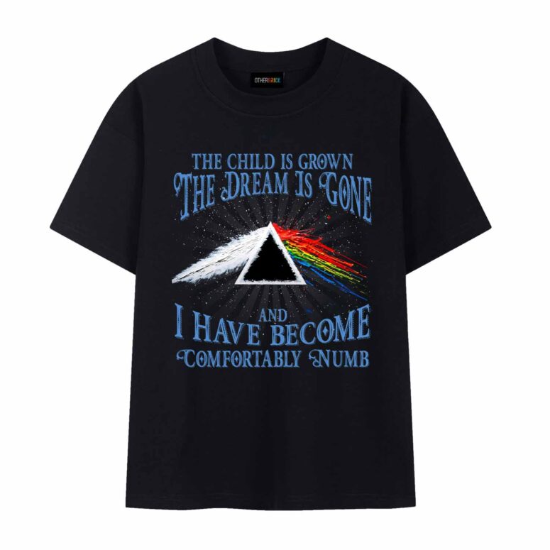 Pink Floyd The Child Is Grown The Dream Is Gone Shirt
