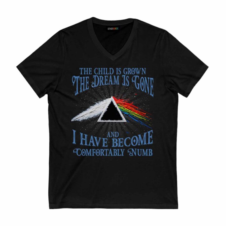 Pink Floyd The Child Is Grown The Dream Is Gone Shirt