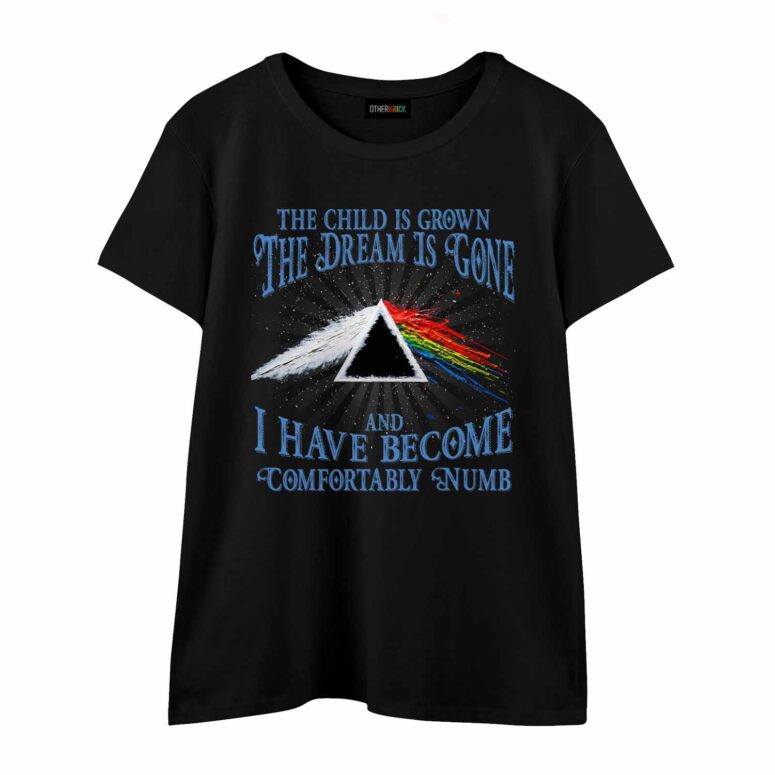 Pink Floyd The Child Is Grown The Dream Is Gone Shirt