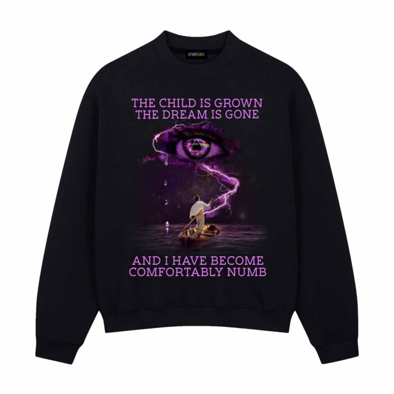 Pink Floyd The Child Is Grown The Dream Is Gone I Have Become Comfortably Numb Shirt