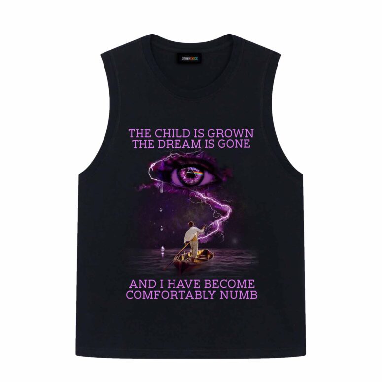Pink Floyd The Child Is Grown The Dream Is Gone I Have Become Comfortably Numb Shirt
