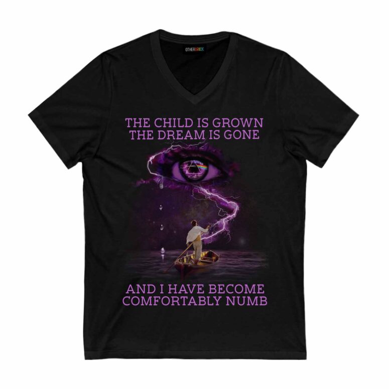 Pink Floyd The Child Is Grown The Dream Is Gone I Have Become Comfortably Numb Shirt