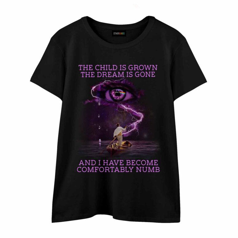 Pink Floyd The Child Is Grown The Dream Is Gone I Have Become Comfortably Numb Shirt