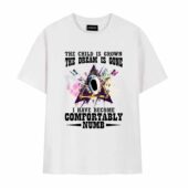 The Dream Is Gone And I Have Become Comfortably Numb Front Tshirt White - OtherBrick