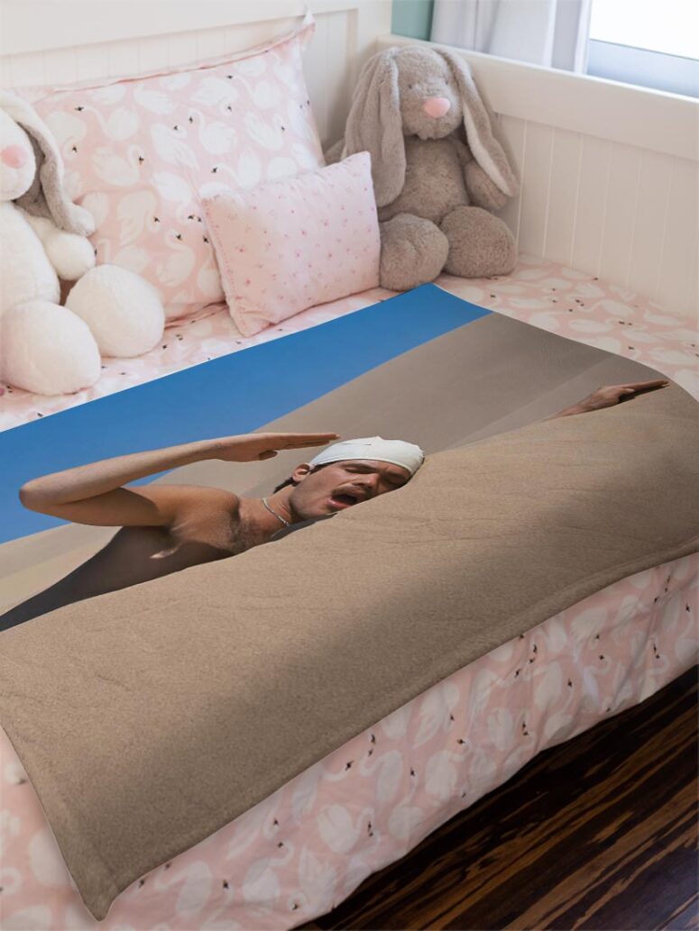 The Meaning of Half Life Desert Swimmer 1975 Pink Floyd Velveteen Plush Blanket