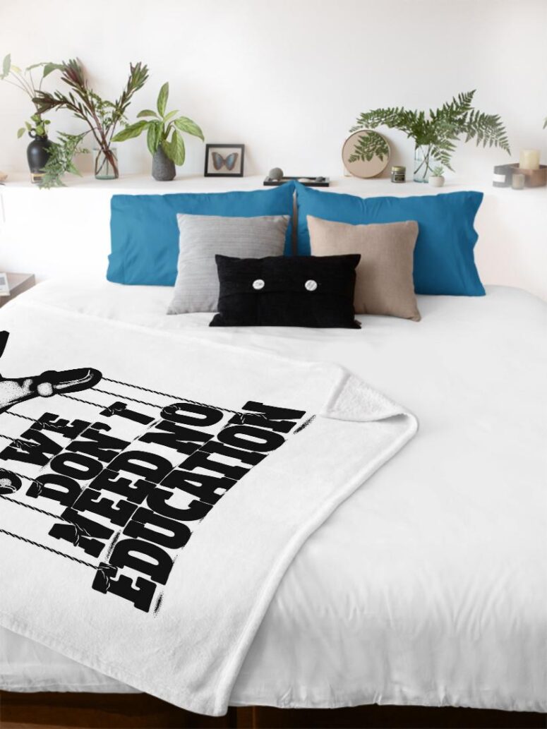 We dont need education Pink Floyd Velveteen Plush Blanket