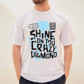 Shine On You Crazy Diamond 1975 Pink Floyd Shirt