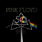Left2d Backpack Golden Dark Side Of The Moon - OtherBrick