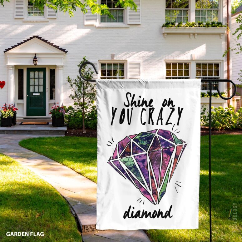 Shine on You Crazy Diamond Pink Floyd Flag
