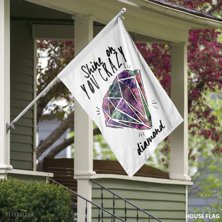 Shine on You Crazy Diamond Pink Floyd Flag