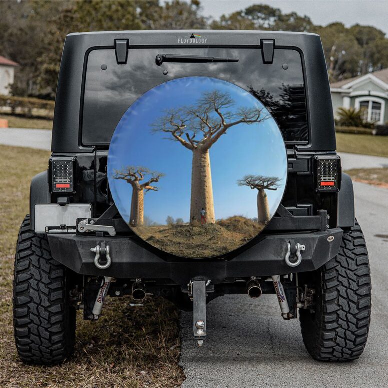Delicate Sound of Thunder Back Cover 1988 Pink Floyd Spare Tire Cover
