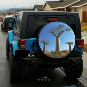 Delicate Sound of Thunder Back Cover 1988 Pink Floyd Spare Tire Cover