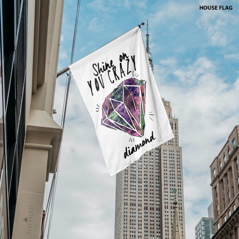 Shine on You Crazy Diamond Pink Floyd Flag