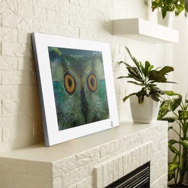 Pulse Owl Eyes Pink Floyd Canvas