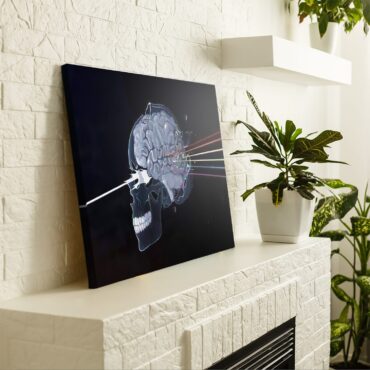 Skulll Dark Side Of The Moon Pink Floyd Canvas