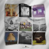 A Nice Pair Album Cover 1973 Pink Floyd Poly Scarf