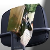 Left2d Backpack Golden Dark Side Of The Moon - OtherBrick