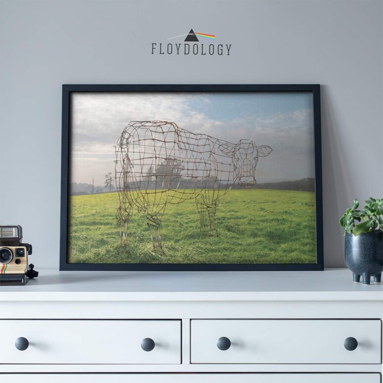 Atom Heart Mother 40th Anniversary Why A Cow Pink Floyd Poster