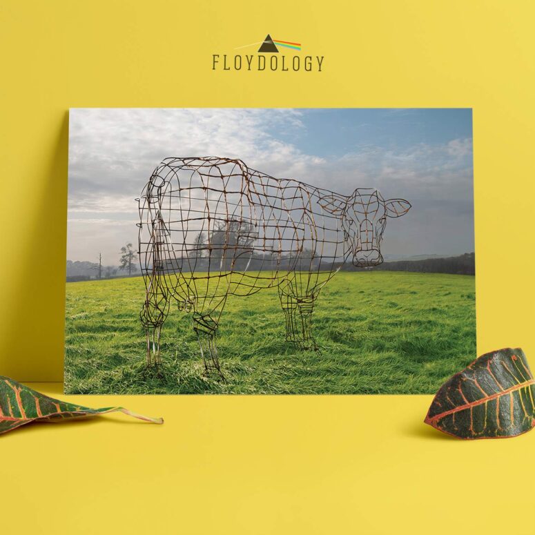 Atom Heart Mother 40th Anniversary Why A Cow Pink Floyd Poster
