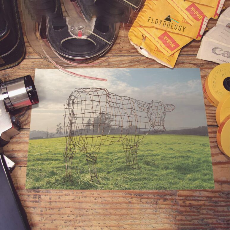 Atom Heart Mother 40th Anniversary Why A Cow Pink Floyd Poster