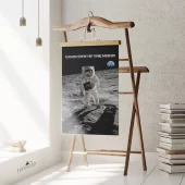Left2d Backpack Golden Dark Side Of The Moon - OtherBrick