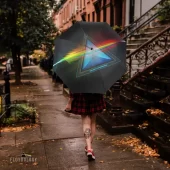Left2d Backpack Golden Dark Side Of The Moon - OtherBrick