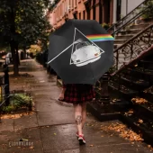 Left2d Backpack Golden Dark Side Of The Moon - OtherBrick