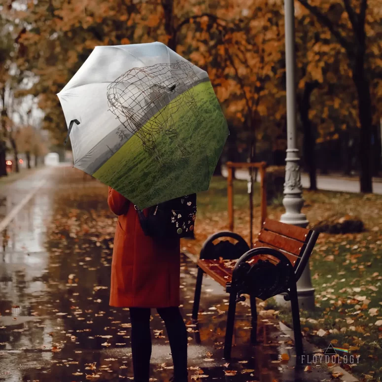 Atom Heart Mother 40th Anniversary Why A Cow - Pink Floyd Umbrella