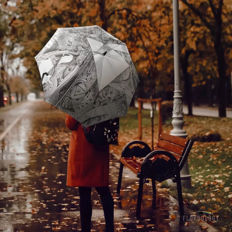 Memories Fan Art - Pink Floyd Umbrella