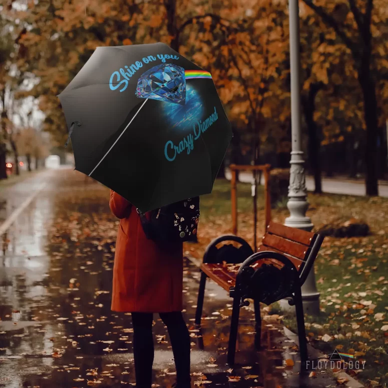 Shine On You Crazy Diamond Pink Floyd - Pink Floyd Umbrella