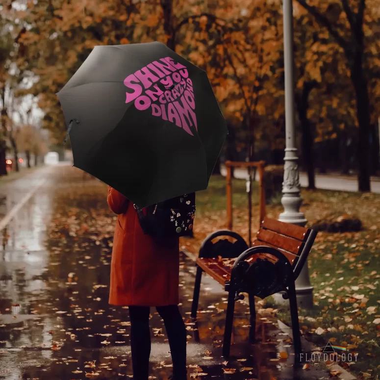 Shine On You Crazy Diamond Art - Pink Floyd Umbrella