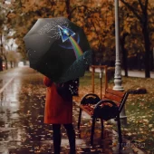 Left2d Backpack Golden Dark Side Of The Moon - OtherBrick