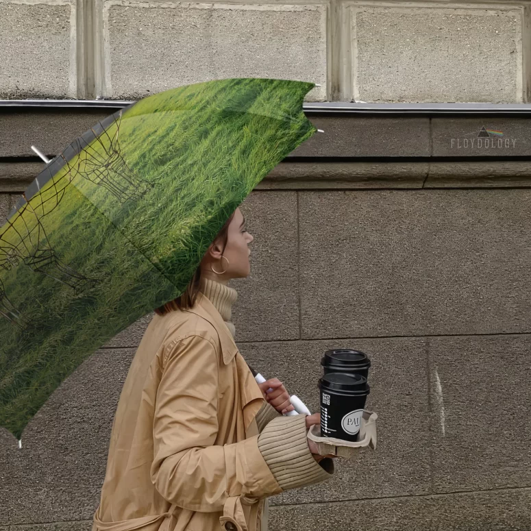 Atom Heart Mother 40th Anniversary Why A Cow - Pink Floyd Umbrella