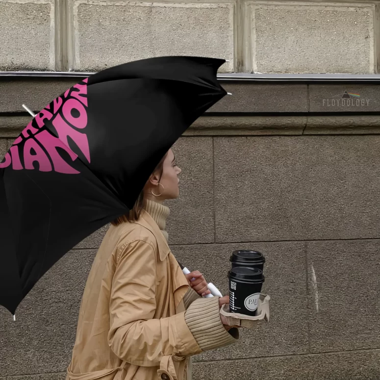 Shine On You Crazy Diamond Art - Pink Floyd Umbrella