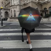 Left2d Backpack Golden Dark Side Of The Moon - OtherBrick