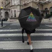 Left2d Backpack Golden Dark Side Of The Moon - OtherBrick