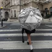 Left2d Backpack Golden Dark Side Of The Moon - OtherBrick