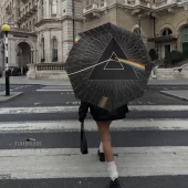 Left2d Backpack Golden Dark Side Of The Moon - OtherBrick