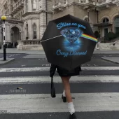 Left2d Backpack Golden Dark Side Of The Moon - OtherBrick