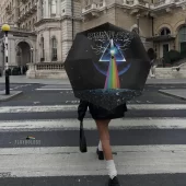 Left2d Backpack Golden Dark Side Of The Moon - OtherBrick